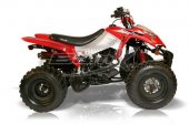 2010 BamX BX250-S1 Assault photo